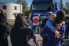 NZ6_6447