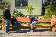 NZ6_6599