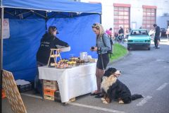 NZ6_6725