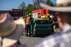 NZ6_6811